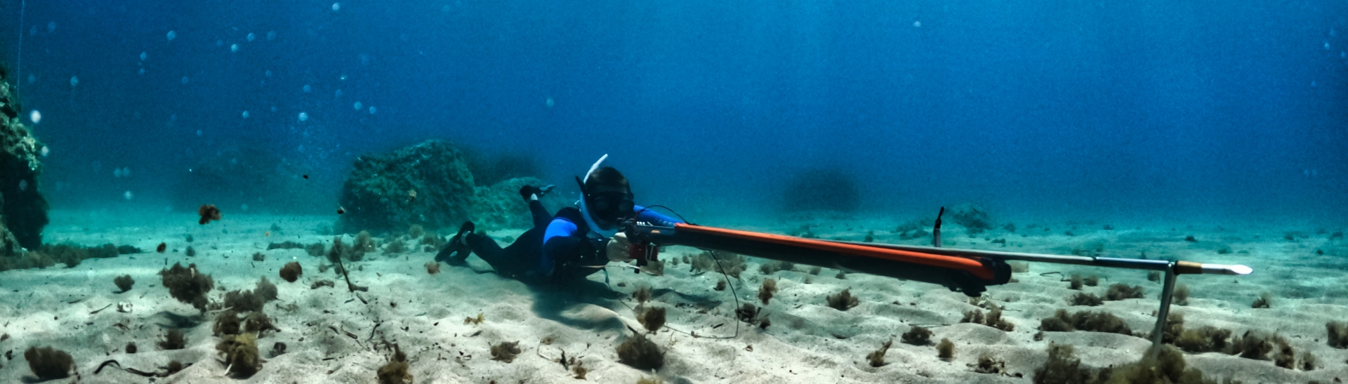 Chasse Sous Marine dans le Var - Vitamin Sea Diving