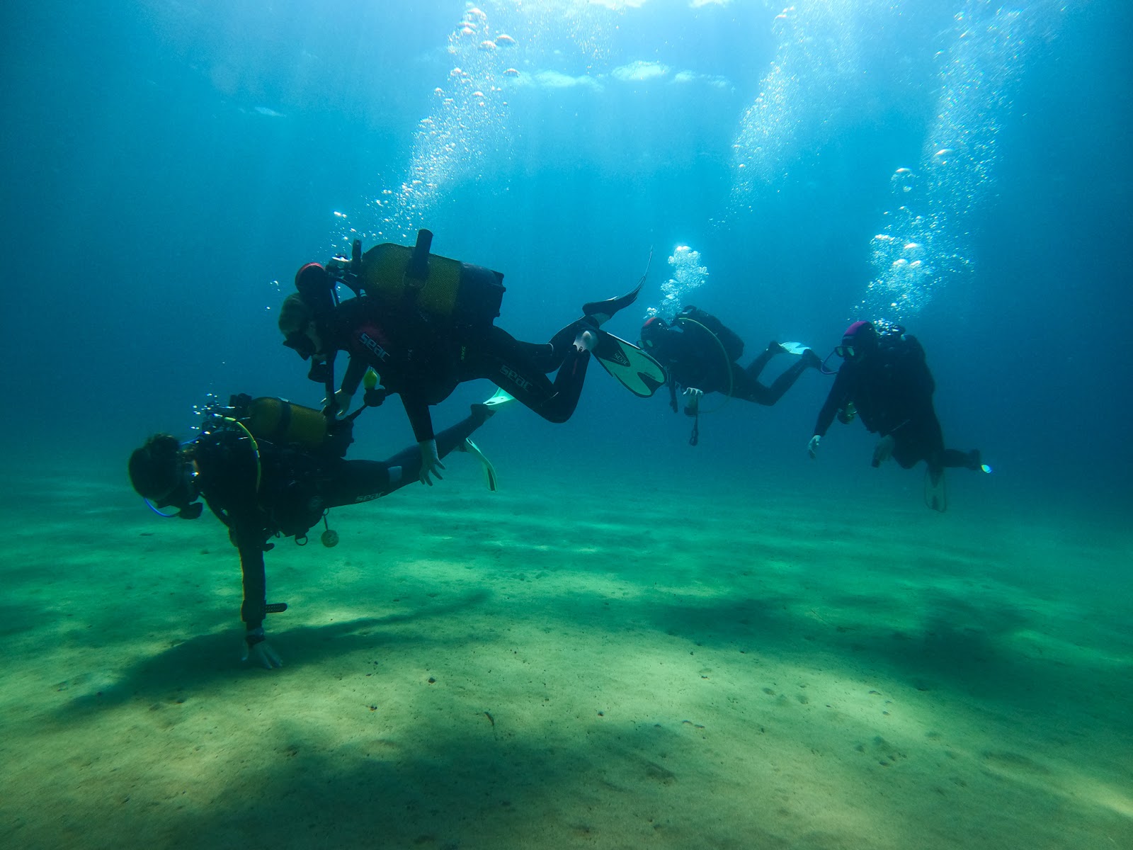 Tout savoir sur la plongée sous-marine - Vitamin Sea Diving